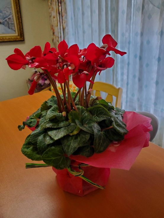 リラクゼーション リラックス 肩こり 腰痛 全身疲労でお悩みの方へ 整体でホッと一息つきませんか?豊橋市 ほその整体室